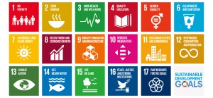 SDGS